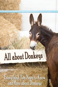 All about Donkeys