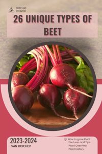 26 Unique Types of Beet