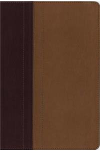 NIV, Quest Study Bible, Leathersoft, Burgundy/Tan, Indexed