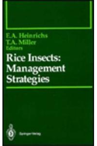 Rice Insects