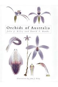 Orchids of Australia