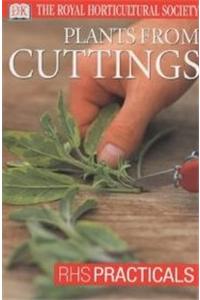 Cuttings
