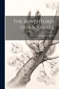 Adventures of a Squirrel