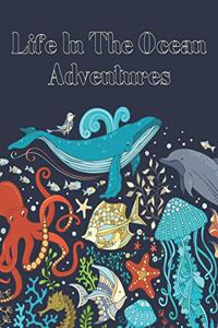 Life In The Ocean Adventures