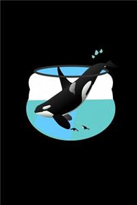 Whale
