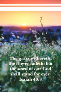 The Word of Our God Bulletin (Pkg 100) General Worship