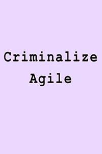 Criminalize Agile