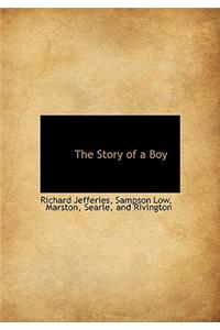 The Story of a Boy