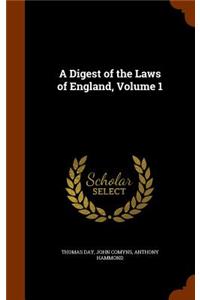 A Digest of the Laws of England, Volume 1