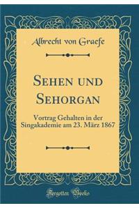 Sehen Und Sehorgan