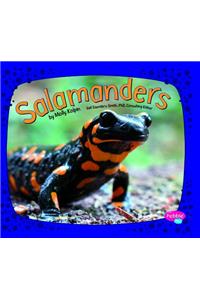 Salamanders