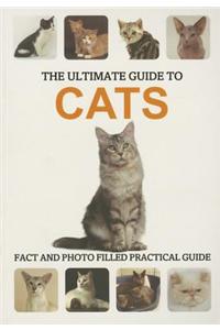 Ultimate Guide Cats