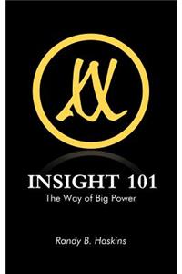 Insight 101