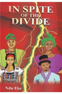 In Spite of the Divide