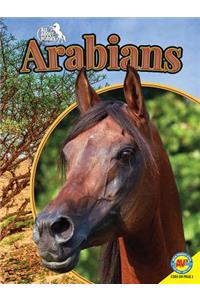 Arabians