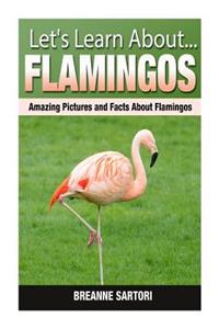 Flamingos: Amazing Pictures and Facts about Flamingos