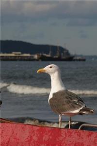A Jaunty Seagull on the Baltic Coast in Poland Journal