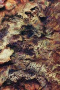 Abstract Wood Texture Painted Notebook