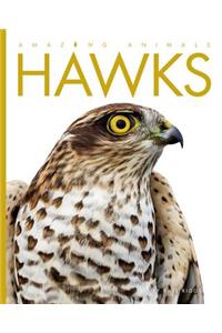 Amazing Animals Hawks