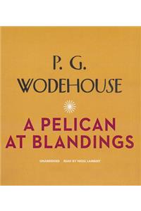 Pelican at Blandings