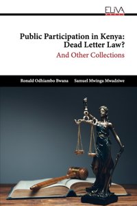 Public Participation in Kenya