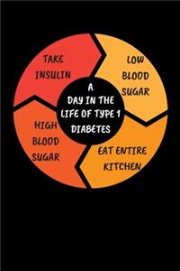 A Day Of Type 1 Diabetes
