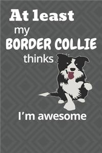 At least My Border Collie thinks I'm awesome