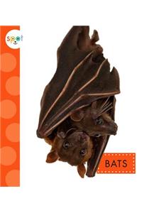 Bats