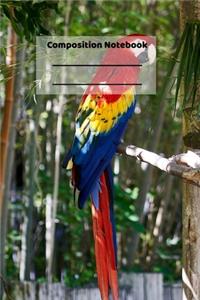 Composition Notebook