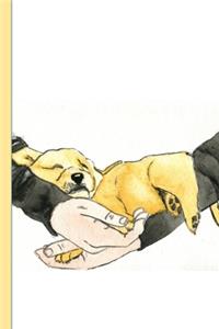 Sleeping golden retriever puppy journal