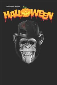chimpanzee Monkey