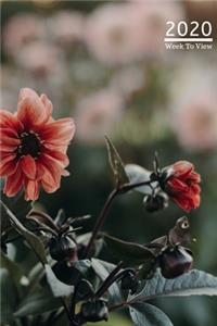 A5 2020 Diary Week To View Paperback Cover With Alternative Design -