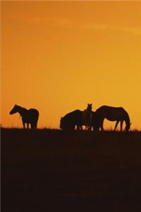 2020 Weekly Planner Horse Photo Equine Horses Sunset Silhouettes 134 Pages