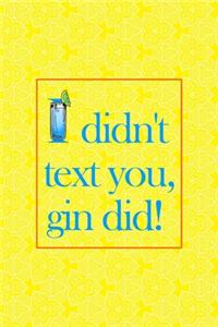 I Didn't Text You, Gin Did!