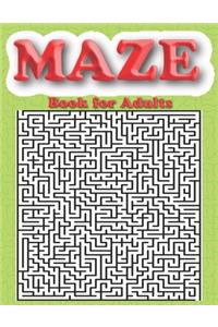 Maze Book for Adults