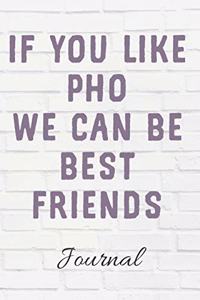 If You Like Pho We Can Be Best Friends Journal