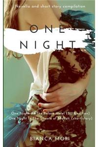 One Night At The Palace Hotel