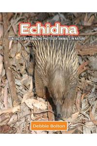 Echidna: Fun Facts and Amazing Photos of Animals in Nature