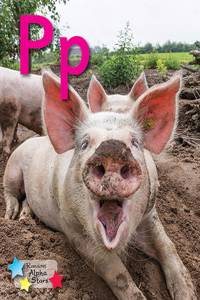 Alpha Stars Pp 6-Pack