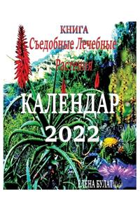 Книга. Календар 2022