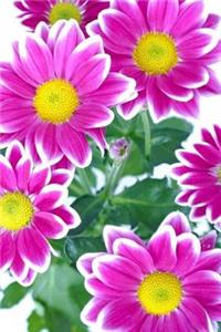 Flowers Notebook