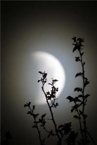 A Lunar Eclipse Journal