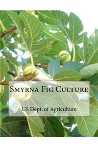 Smyrna Fig Culture