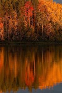 Autumn Forest Banks of a River Journal