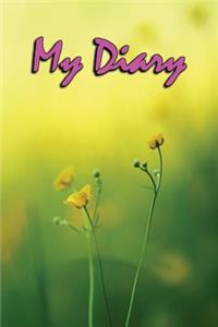 My Diary