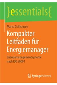Kompakter Leitfaden Für Energiemanager
