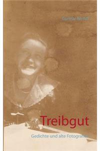 Treibgut