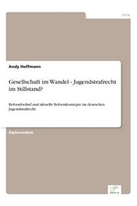 Gesellschaft im Wandel - Jugendstrafrecht im Stillstand?