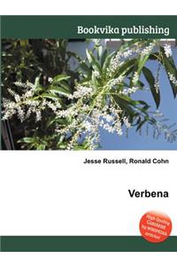 Verbena