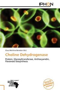 Choline Dehydrogenase